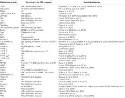 New Faces of old Friends: Emerging new Roles of RNA-Binding Proteins in the DNA Double-Strand Break Response